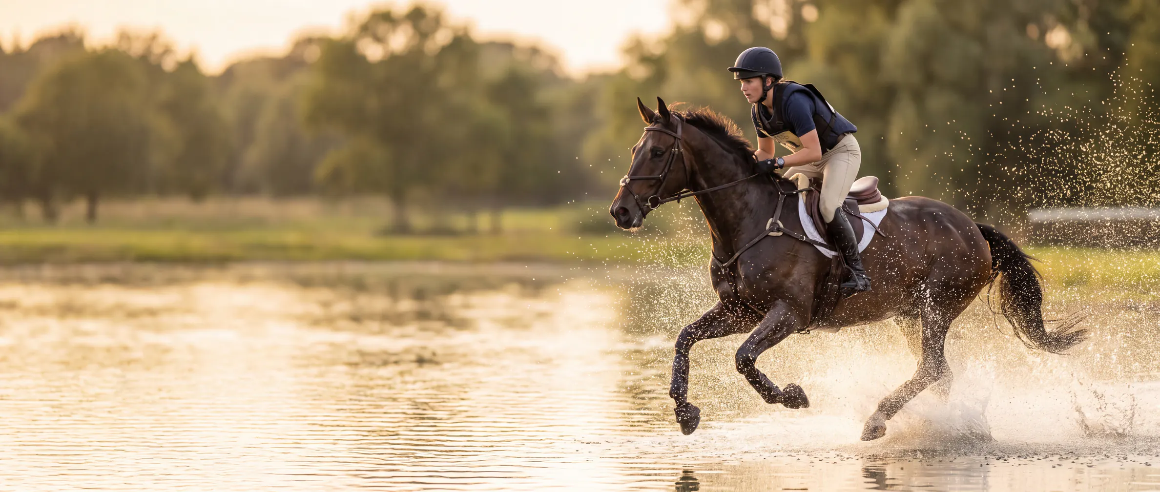Cavalier et cheval de sport au galop dans l'eau d'un parcours de concours complet
